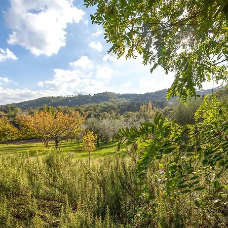 Il Colle Hébergement de vacances La Torre (Arezzo)