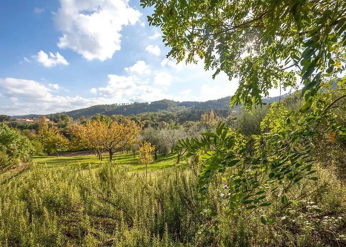 Il Colle Hébergement de vacances La Torre (Arezzo)